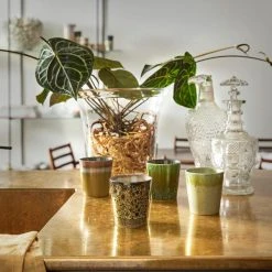 HKliving 70 S Style Pistachio Handleless Cup 7 HKliving 70 S Style Pistachio Handleless Cup