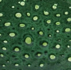 HKliving Emerald Ceramic Bowl With Raised Angular Base 5 HKliving Emerald Ceramic Bowl With Raised Angular Base