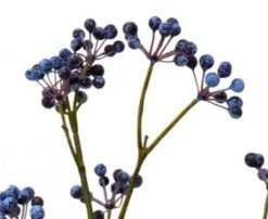 HKliving Realistic Artificial blue Berry Branch