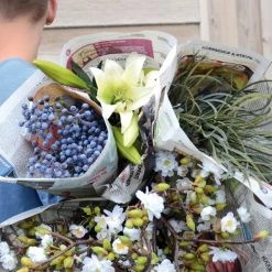 HKliving Artificial Blueberry Branch Set 3 Units