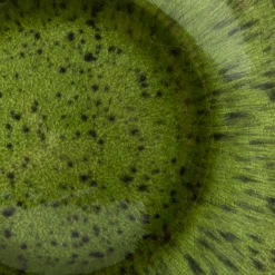 HKliving Set De 2 Assiettes À Dessert The Emeralds 11 HKliving Set De 2 Assiettes À Dessert The Emeralds