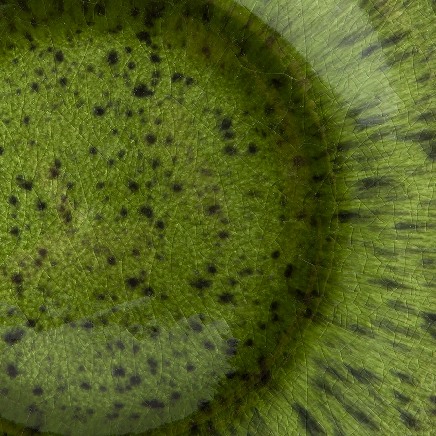 HKliving Set De 2 Assiettes À Dessert The Emeralds 5 HKliving Set De 2 Assiettes À Dessert The Emeralds