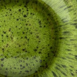 HKliving Set De 2 Assiettes Plates The Emeralds