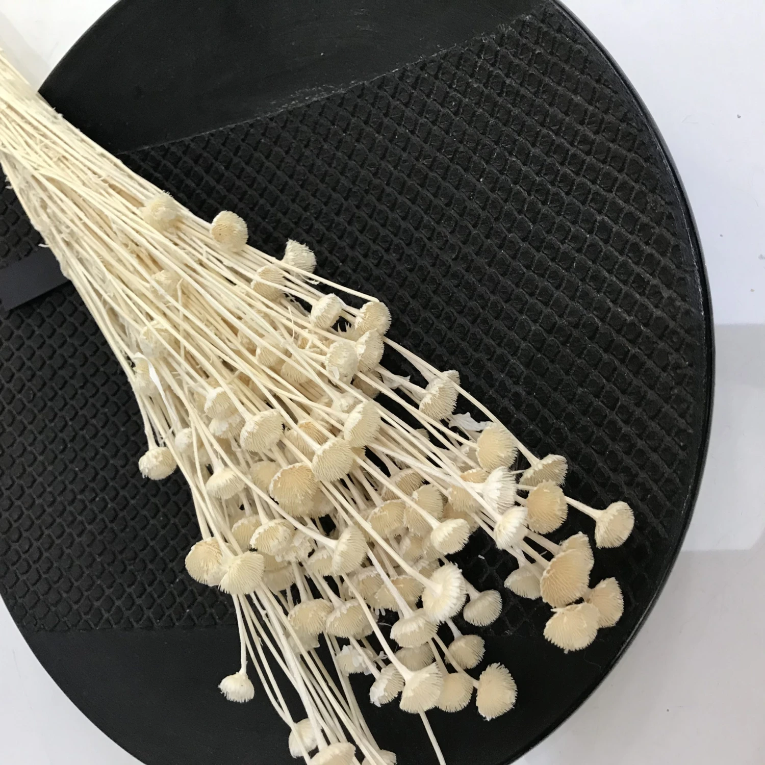 HKliving Tatoo Plate HKliving Tatoo Plate